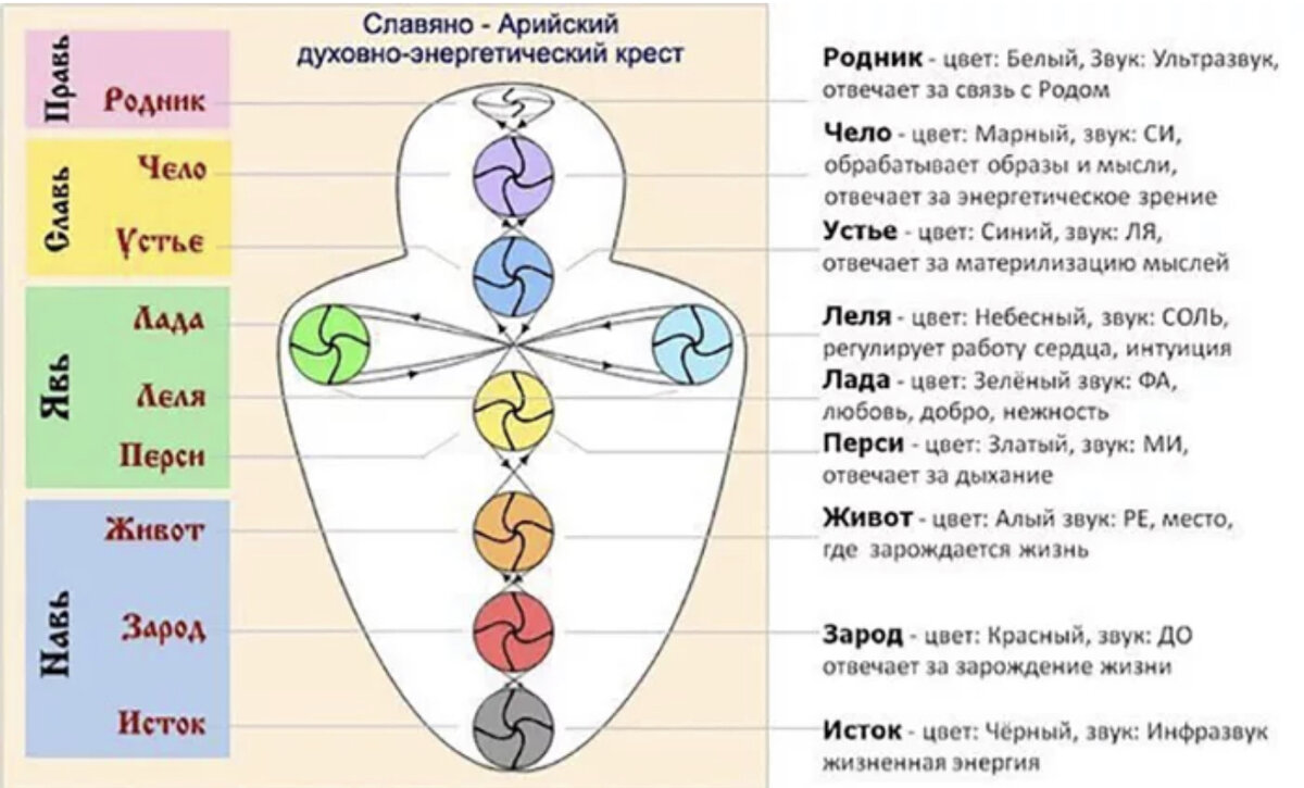 Цвет рода. Славяно-Арийская система чакр. Славянская чакровая система человека. Энергетические центры человека у славян. Чакровая система древних славян.