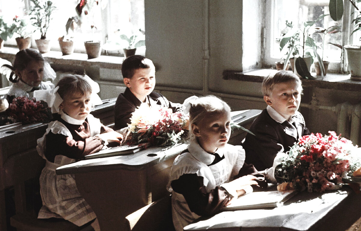 Картинка из источника в свободном доступе