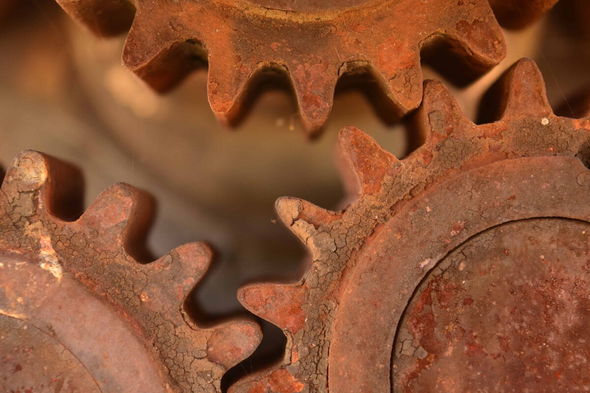 Фото: pixnio.com