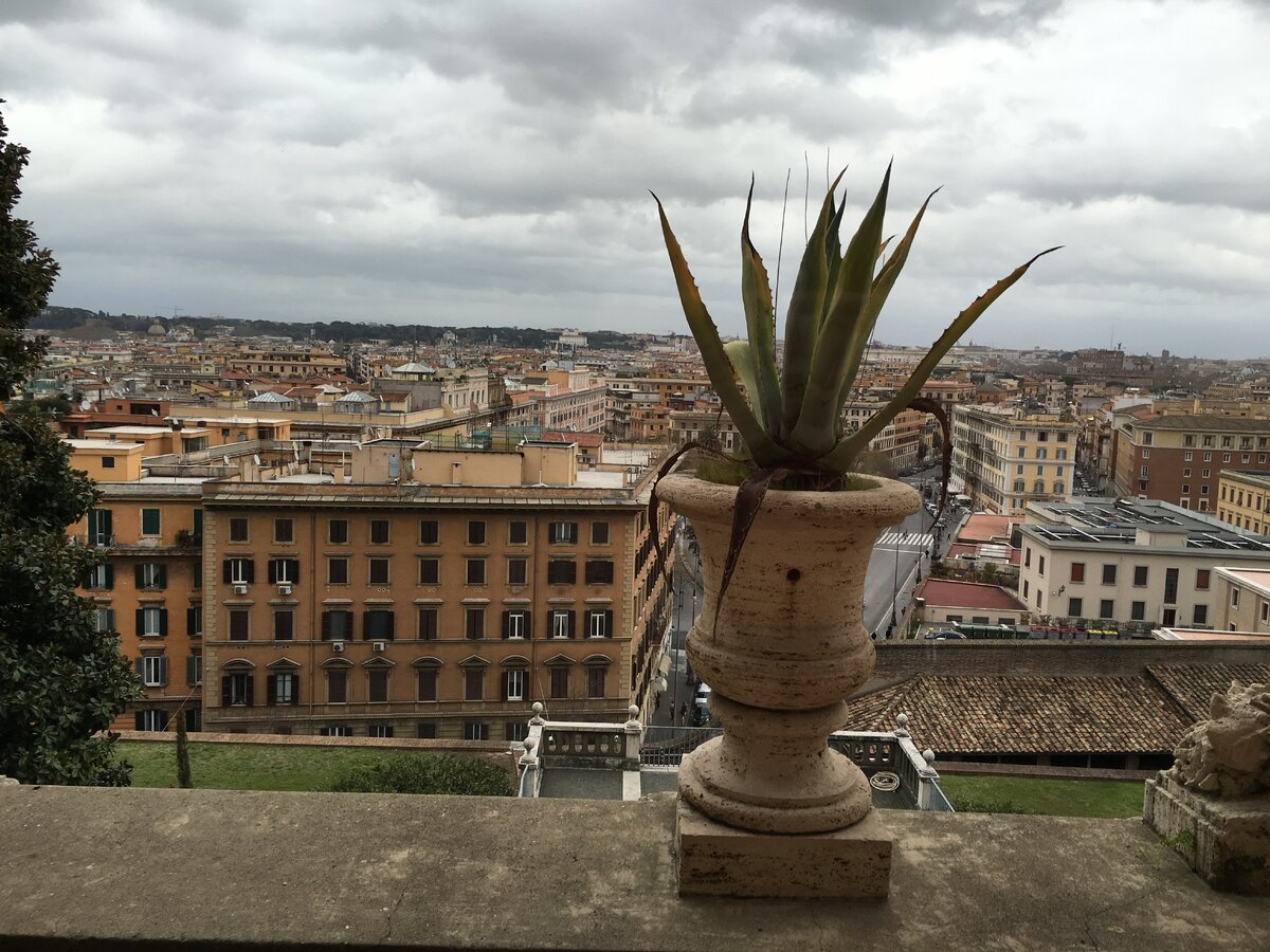 Вид с галереи Ватикана