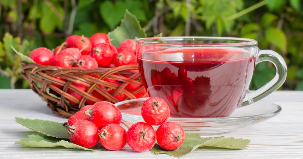 Фото из открытого источника