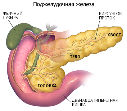 Лечение заболеваний поджелудочной железы - Услуги