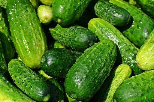 https://cdn.pixabay.com/photo/2015/07/17/13/44/cucumbers-849269__340.jpg