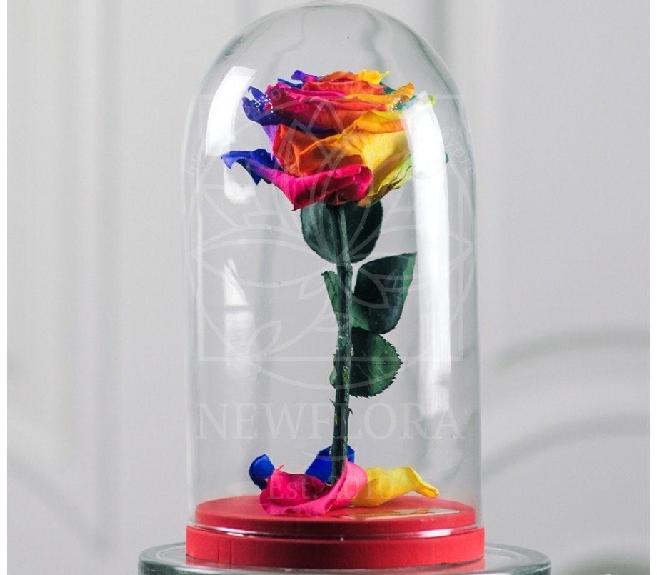 Стабилизированные розы. Источник Яндекс фото.