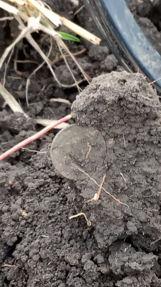 Хоть прячься, хоть не прячься - все равно моя ты, ду-ду-ду