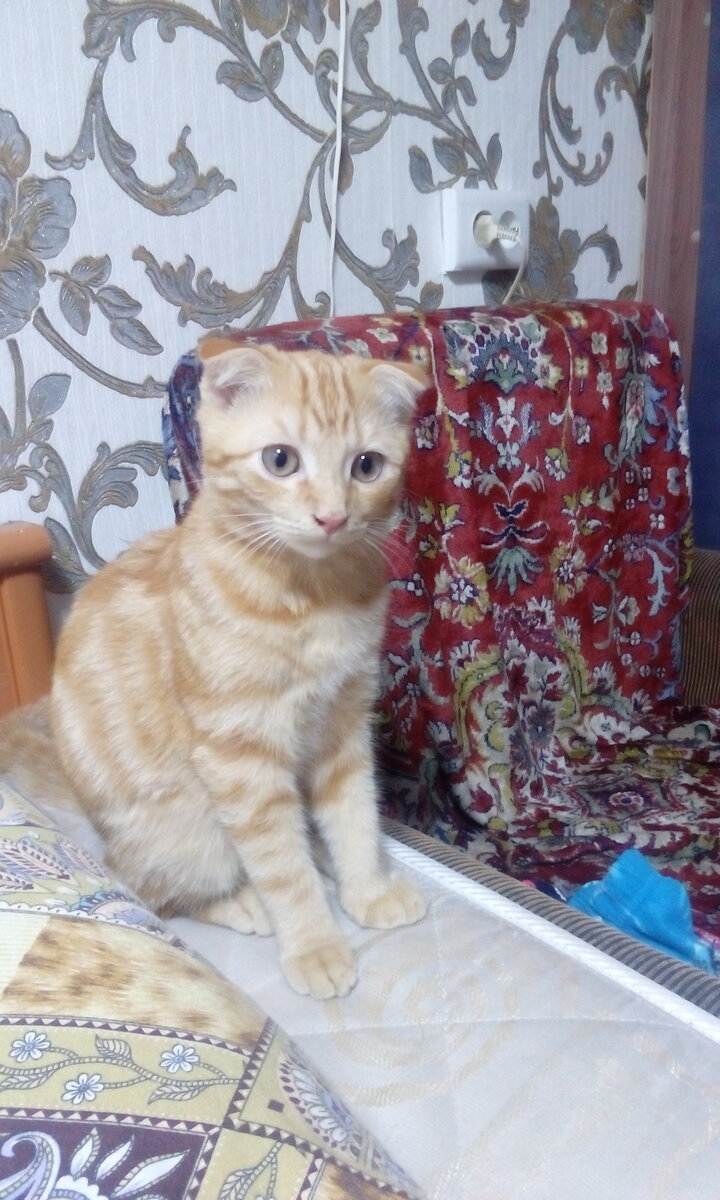 личный архив