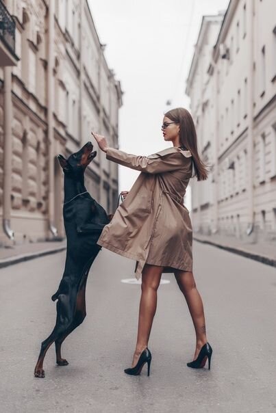 https://www.pinterest.ru/pin/145944844162828643/