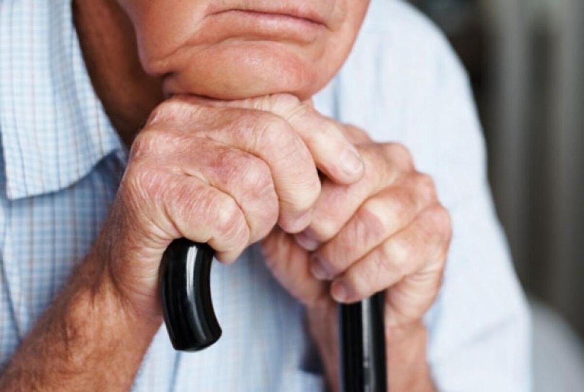 Фото – yandex.ru