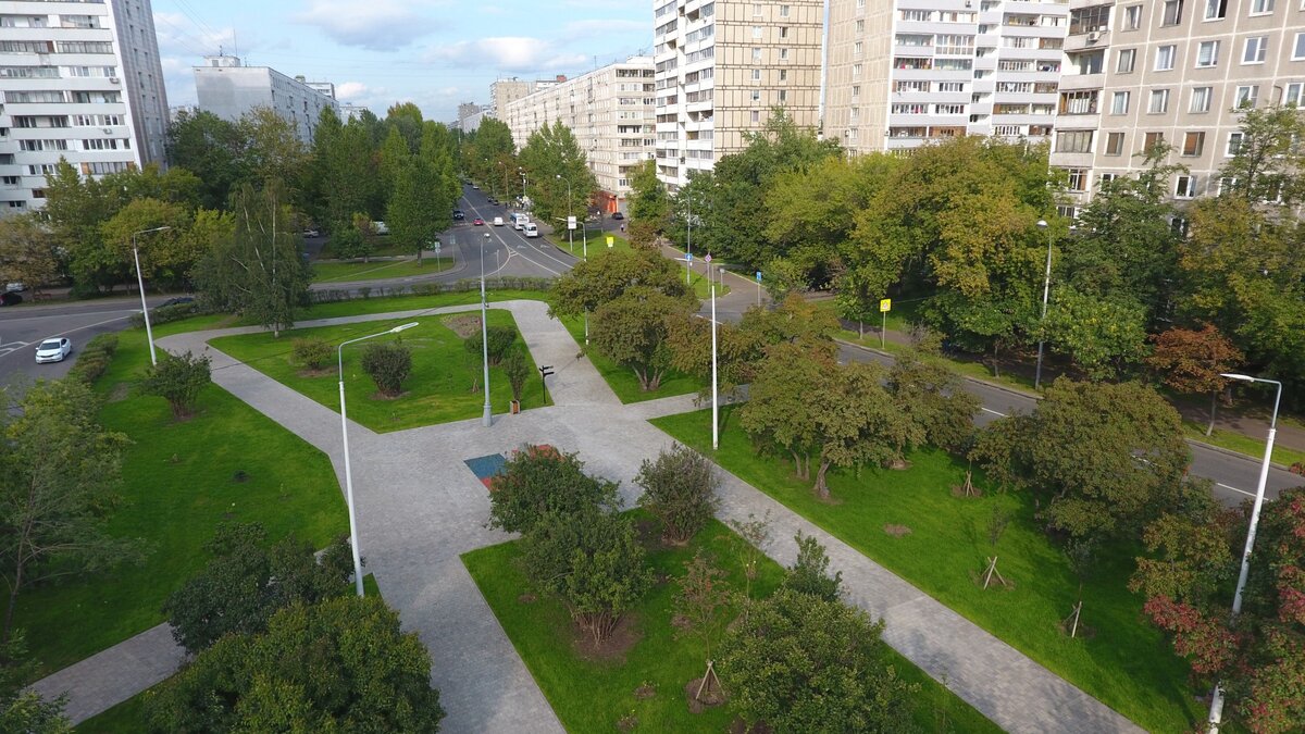 Озеленение и благоустройство придомовой городской территории | Город Мечты  | Дзен