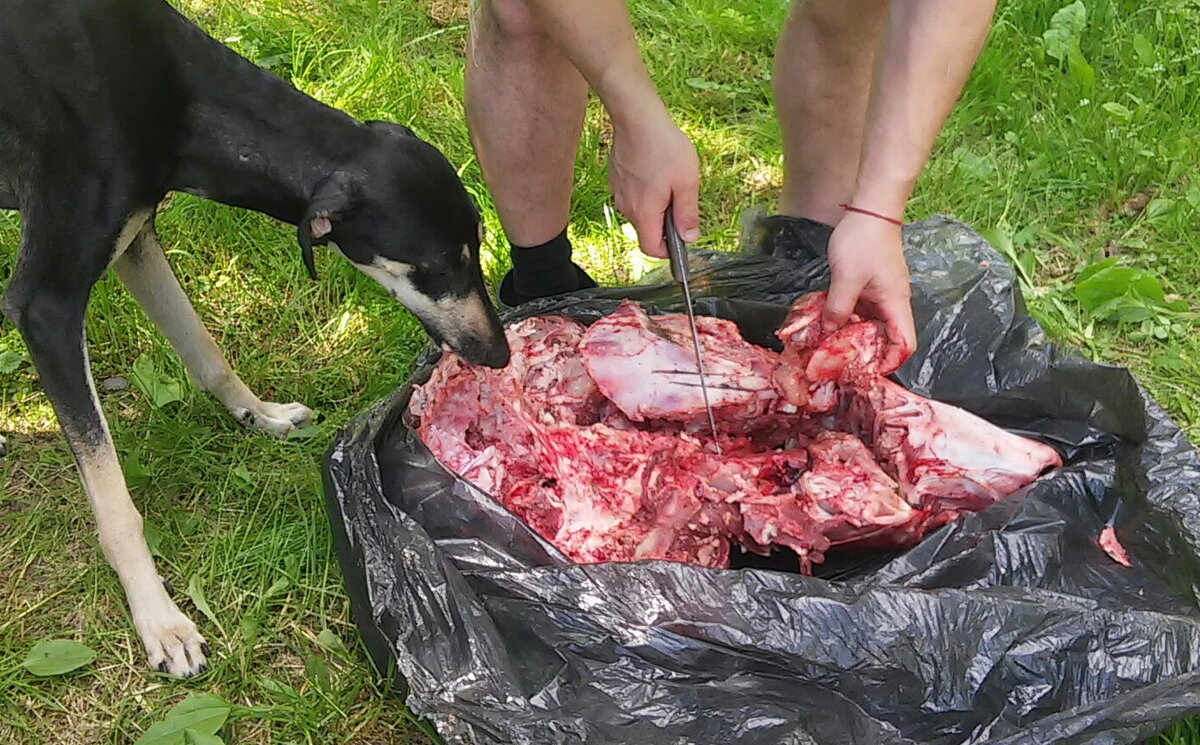 Наша слюги Ирма