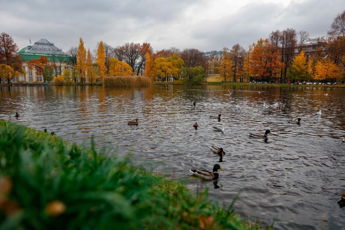Таврический сад СПБ осень