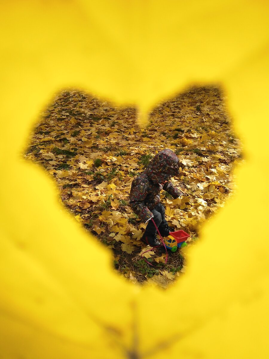 Личное фото 