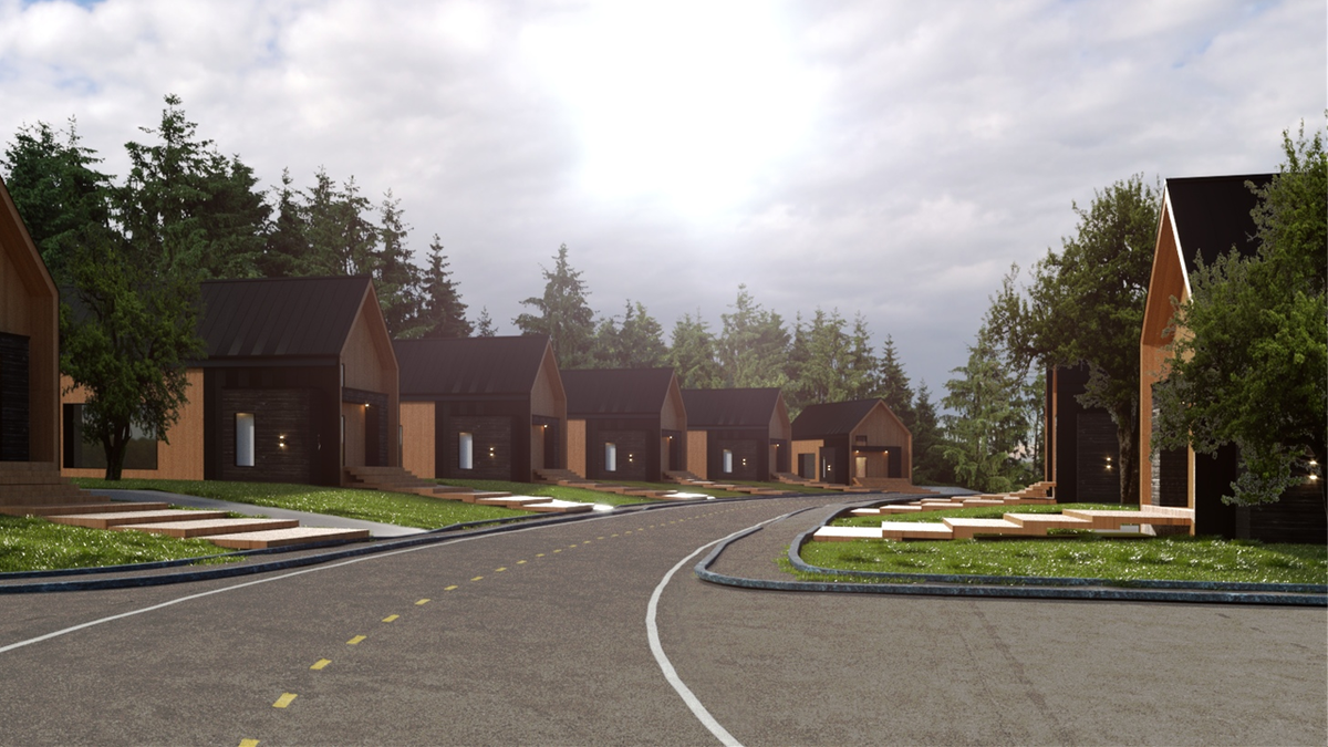 Один из вариантов ЭКО-поселка, разработанного российскими студентами-архитекторами.