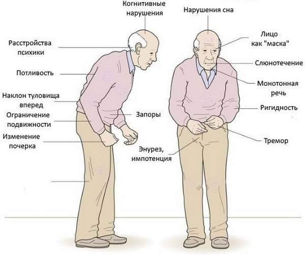 Фотография из открытых источников.