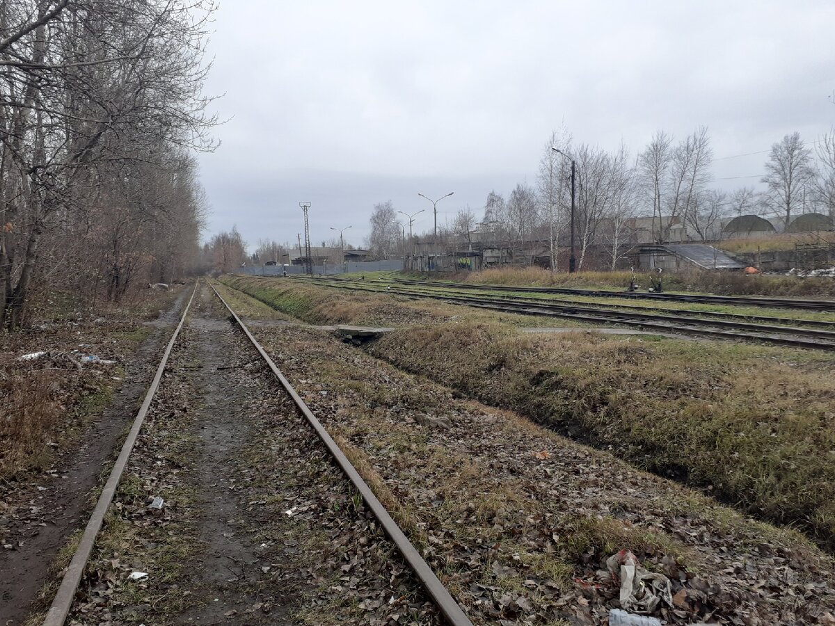 Электрички панки электрозаводская