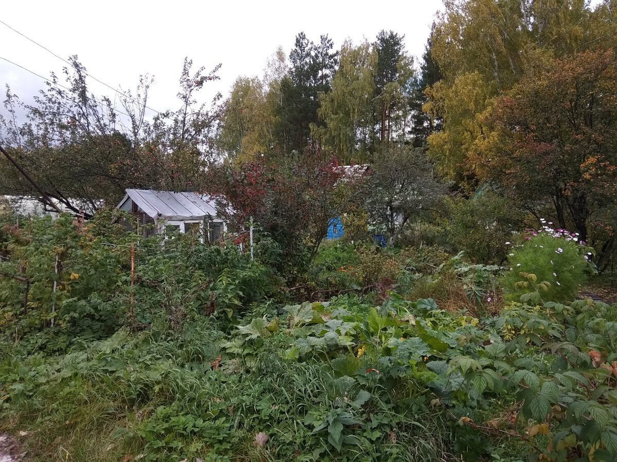 участок в СНТ