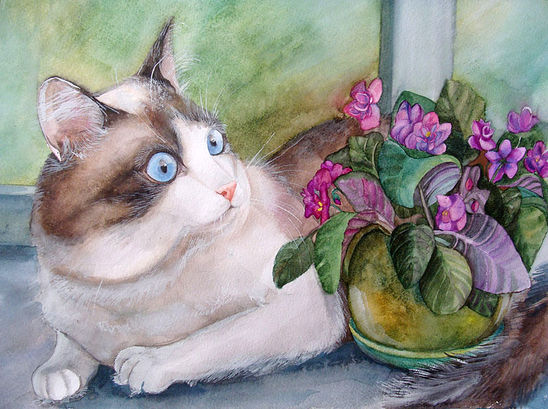 Рисунки кота гуашью