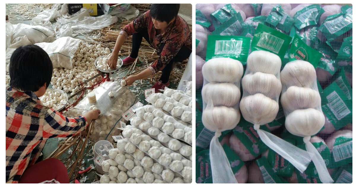 Китайский чеснок сильно полюбился торговым сетям