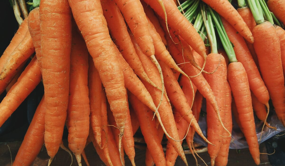 Because our bodies are fueled by the food we eat, vegans say it's essential that you eat a balanced diet. But may their concerns for their health be overblown?