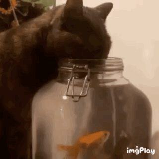 Водаааааа. Удались выходные