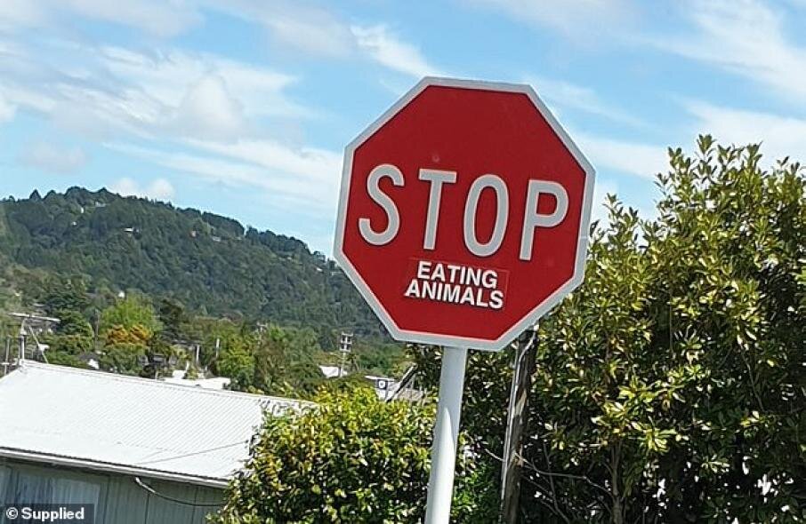 Фото: Daily Mail