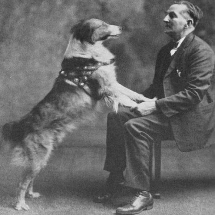 Источник: cont.ws