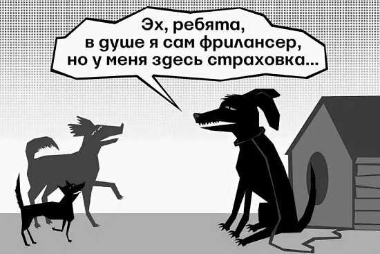 Картинка взят из открытых источников