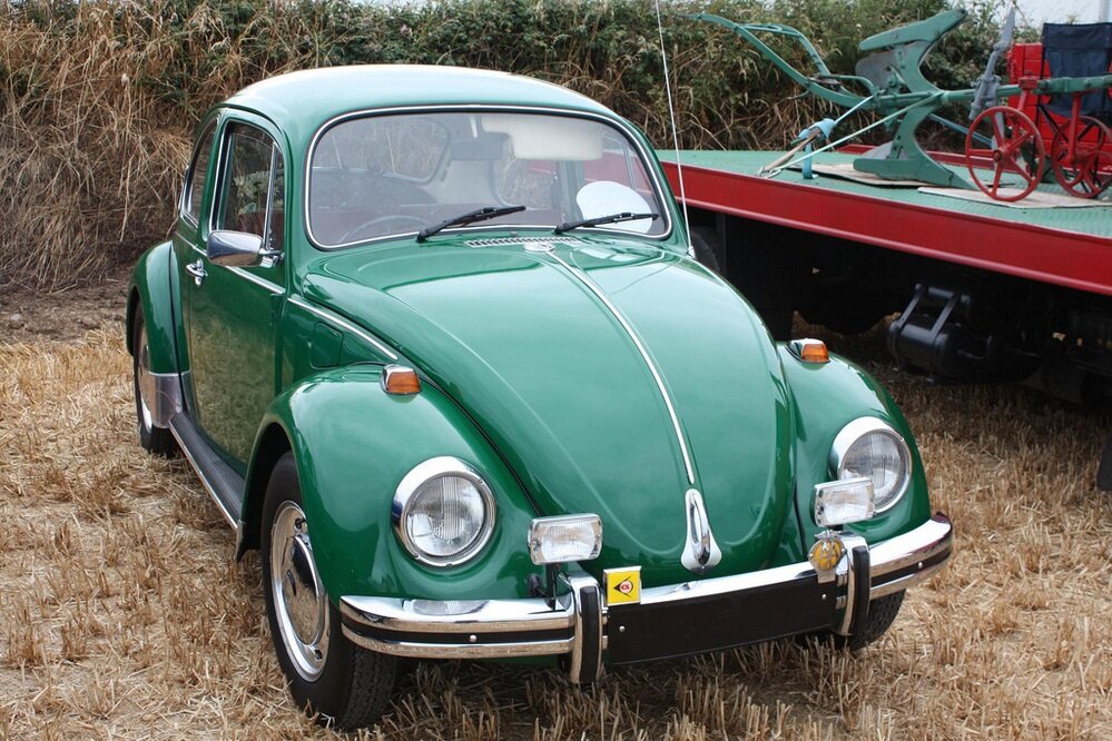 Фото из Интернета.