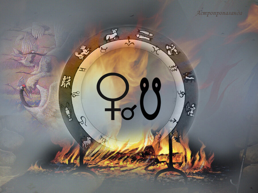 Коллаж Нины Стрелковой.