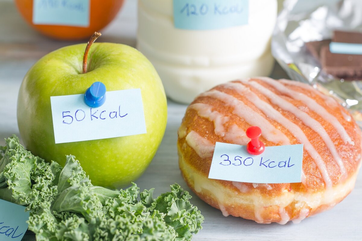 БЖУ или подсчет калорий – какой вид питания стоит выбрать?