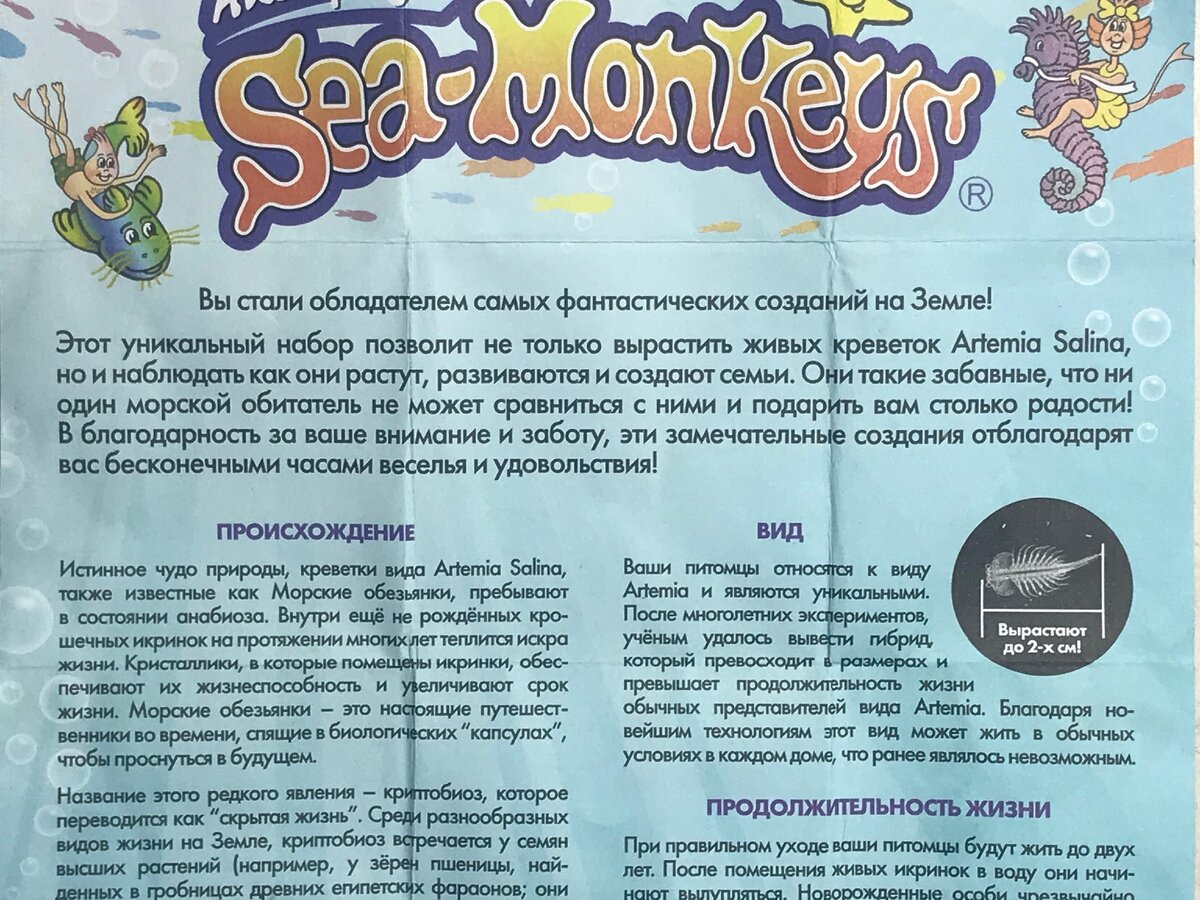 Морские обезьянки инструкция фикс. Artemia salina. Морские обезьянки фикс прайс. Морские обезьянки в аквариуме. Набор для опытов sea-monkeys "sea-monkeys" для выращивания ракообразных (т13624d).