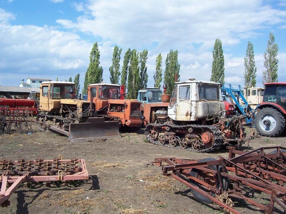 Фото из Яндекс Картинок