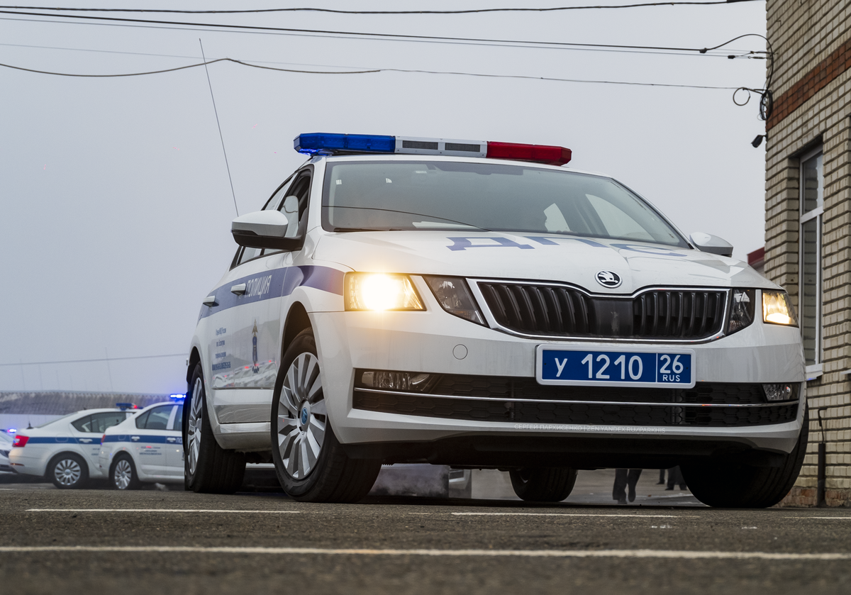 Skoda octavia дпс. Skoda Octavia a7 ДПС.