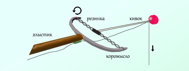 Пропорции показаны условно