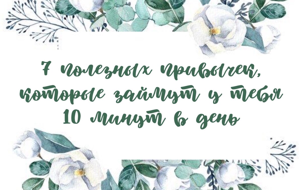 7 полезных привычек, которые займут 10 минут в день | СМЕШНО - И ТОЧКА! 🐹  | Дзен