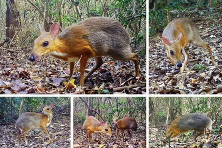 Фото с сайта nationalgeographic.com