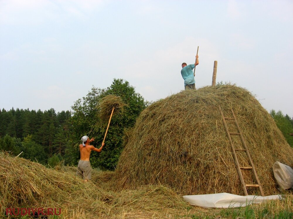 В Перуновой Слободе, 2010
