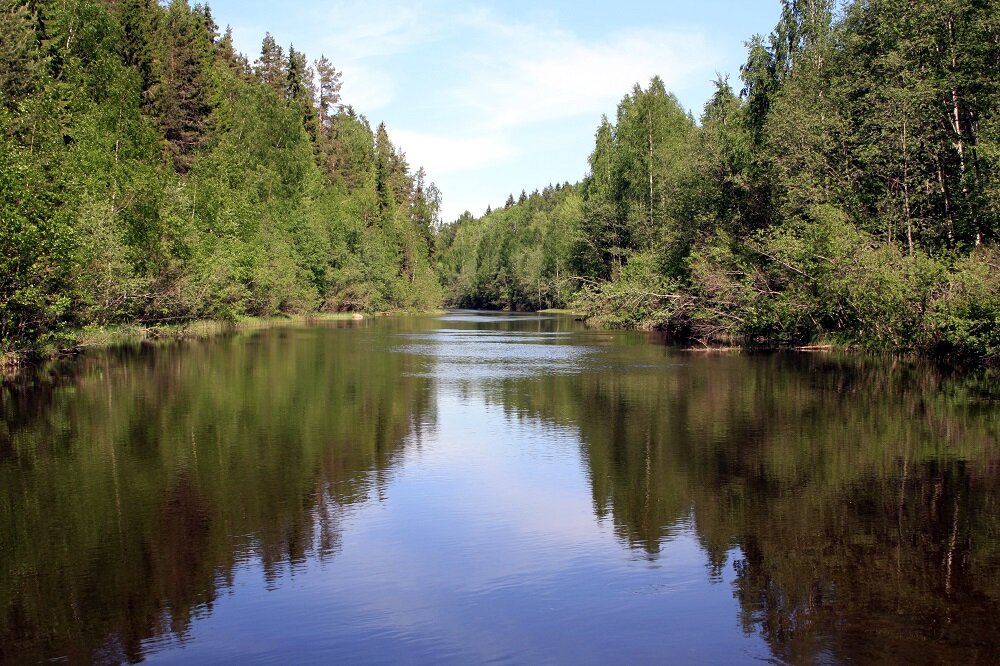 Река суна красивое место