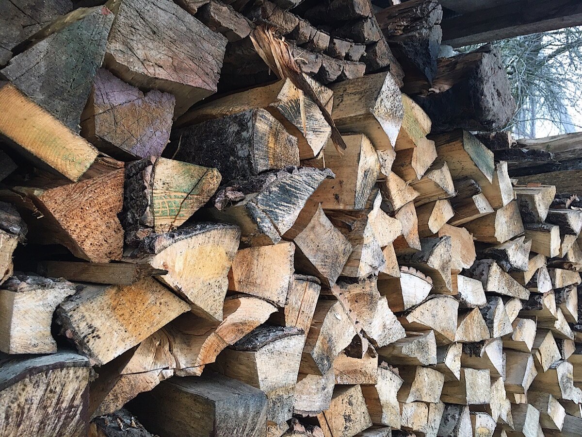 Немцы скупают дрова. Немцы закупают дрова. Алтайский район Хакасия Новоенисейка купить дрова. Какой лучше купить дрова