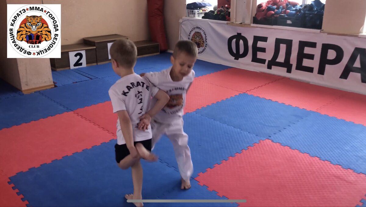 Развитие равновесия в карате wkf. Упражнения для тренировки. | Сэн-Сэй |  Дзен