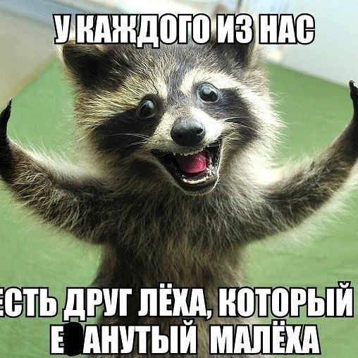 Молодая семейная пара, ожидая прибавления семейства, пришла на консультацию к врачу. Муж: — Доктор, а как на счет секса, при беременности? Врач: — Во время первой трети срока — никаких проблем, во второй трети — только в собачьей позе, а в третьей — в волчьей. Муж: — Это как? Врач: — Лежишь около норы и воешь.