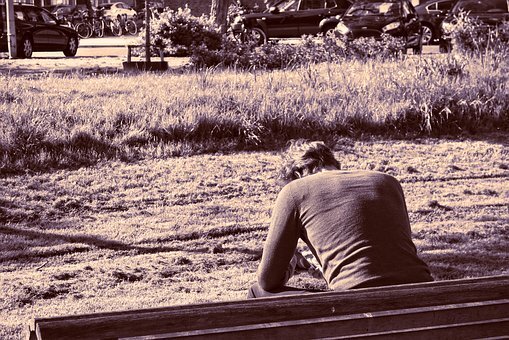 Фото Pixabay из базы бесплатных фотографий