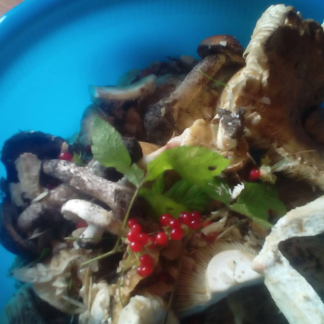 Фото автора.