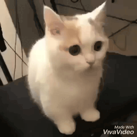 А ну! Говори честно!