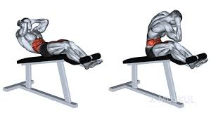 подъемы корпуса на скамье