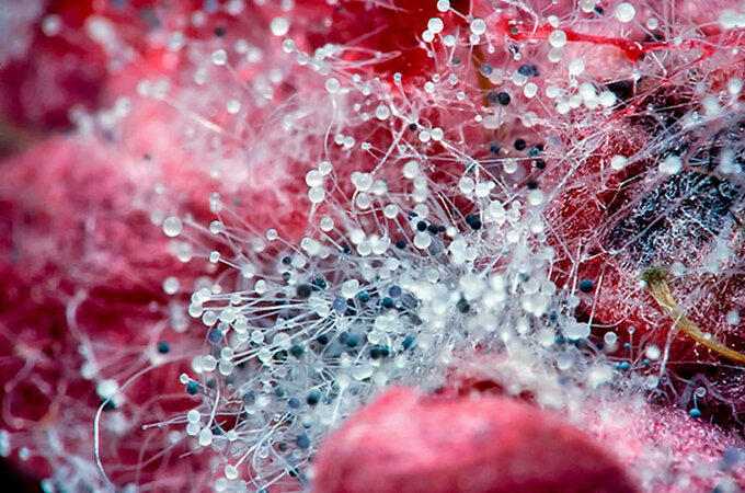 картинка взята из свободного доступа яндекс картинки