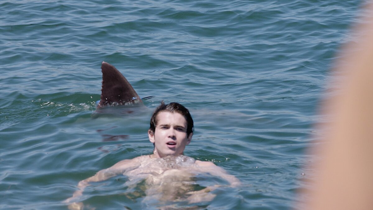 Кино про убийцу в море, и про маньяка на суши. Фильм достоин к просмотру, будет жутковато... 