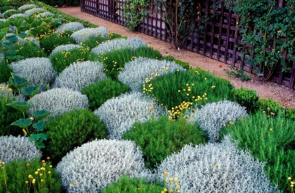 Игра на контрастах выглядит очень эффектно