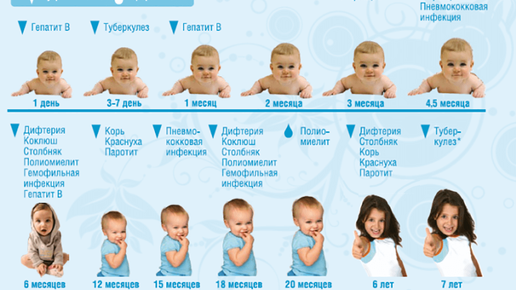 Какая прививка делается малышу в 3 месяца. Делать ли прививки в 3 месяца. Акдс прививка график прививок детям. Прививки в 2 месяца ребенку. Какая прививка делается в 3 месяца.