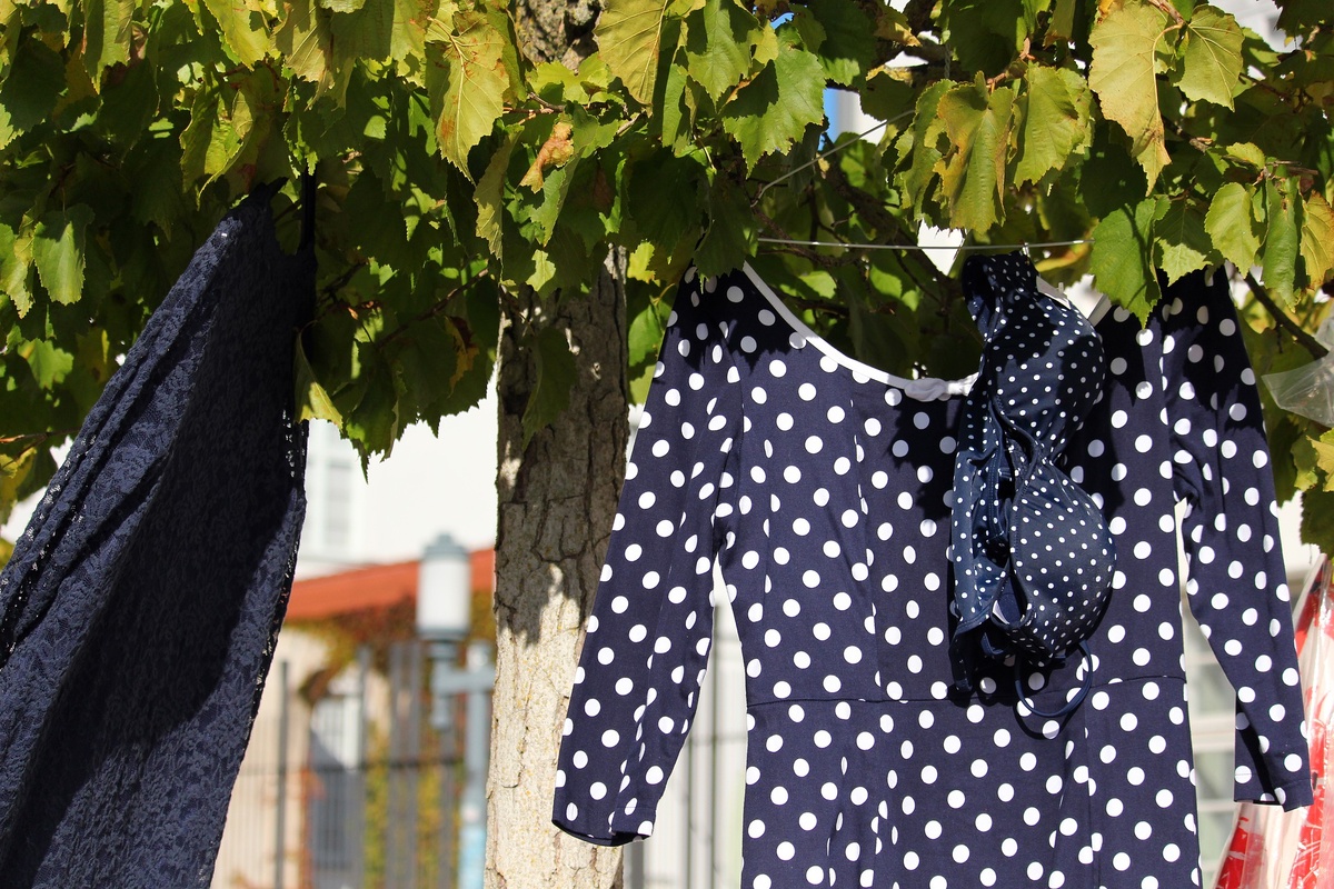 https;//pixabay.com/ru